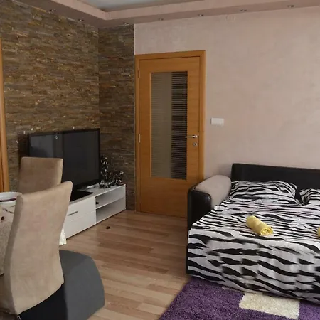Relax Apartment Bajina Basta