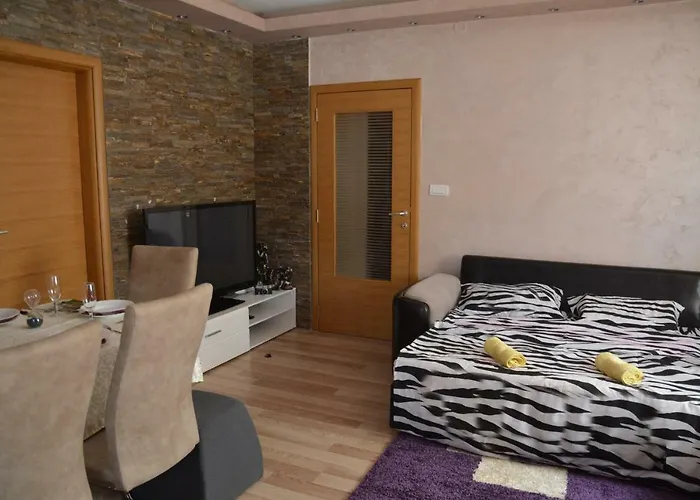 Relax 公寓 巴伊纳巴什塔